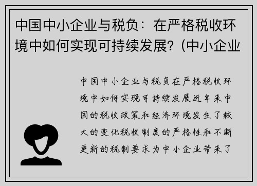 中国中小企业与税负：在严格税收环境中如何实现可持续发展？(中小企业税负情况分析)