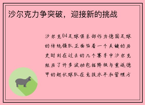沙尔克力争突破，迎接新的挑战
