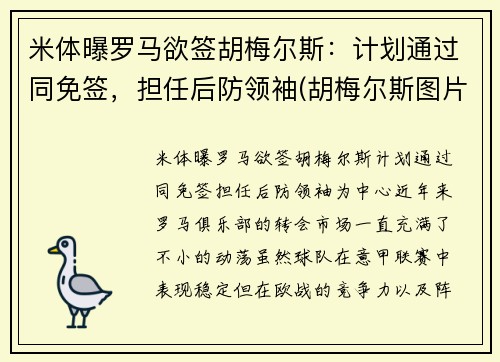 米体曝罗马欲签胡梅尔斯：计划通过同免签，担任后防领袖(胡梅尔斯图片)